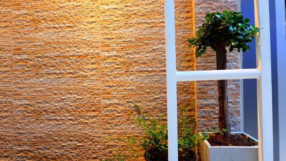 Фото Cloud Nine Lodge