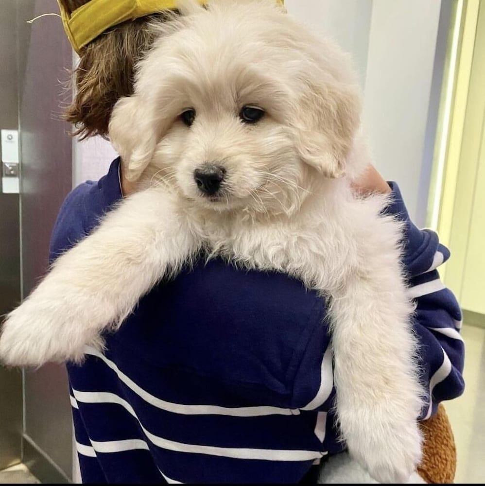 Фото Aloft Newport On The Levee