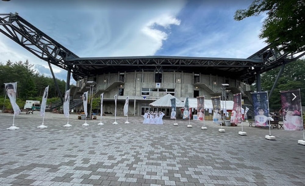 Фото Lupinus Kawaguchiko