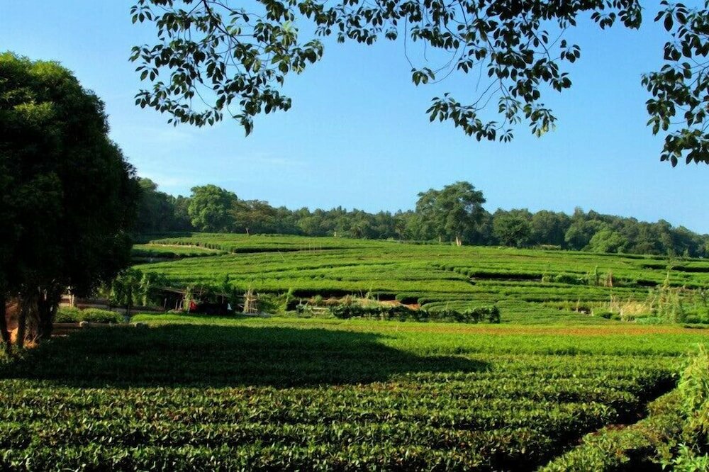 Фото Floral Hotel Hangzhou Yuxu Xixu Hotel Xihu Lingyin Temple Branch