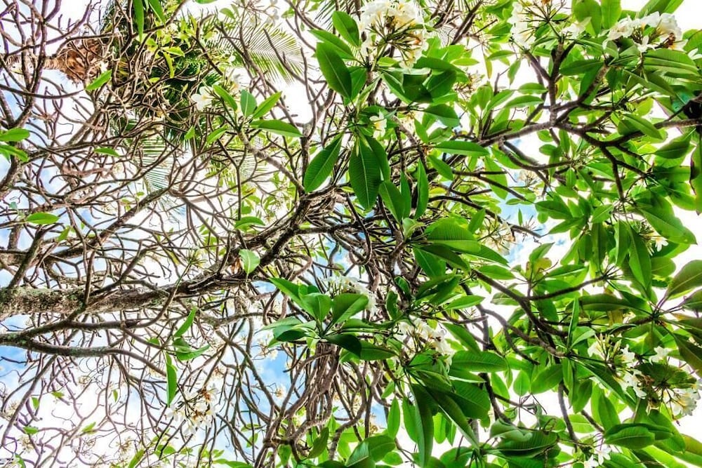 Фото Farol de Itapuã Praia Hotel