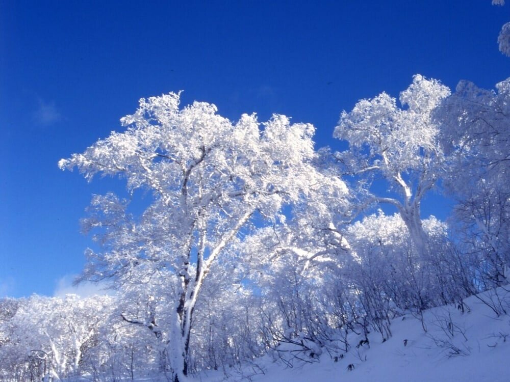 Фото Noboribetsu Sekisuitei