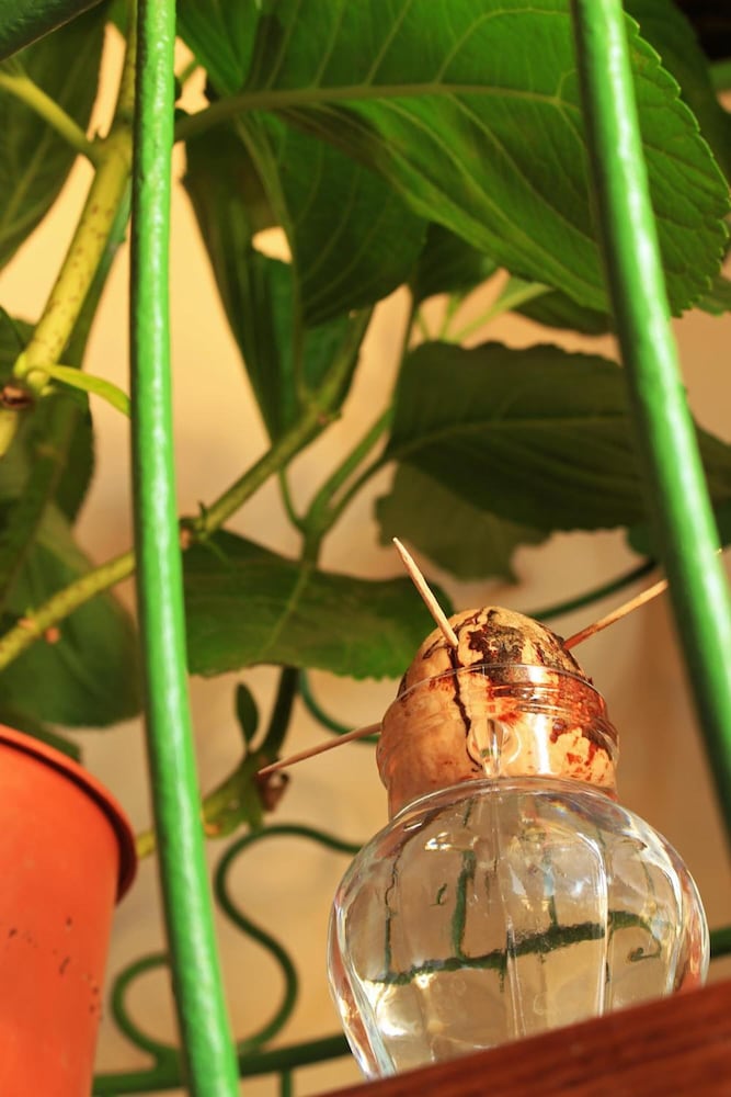 Фото Case D'Anna