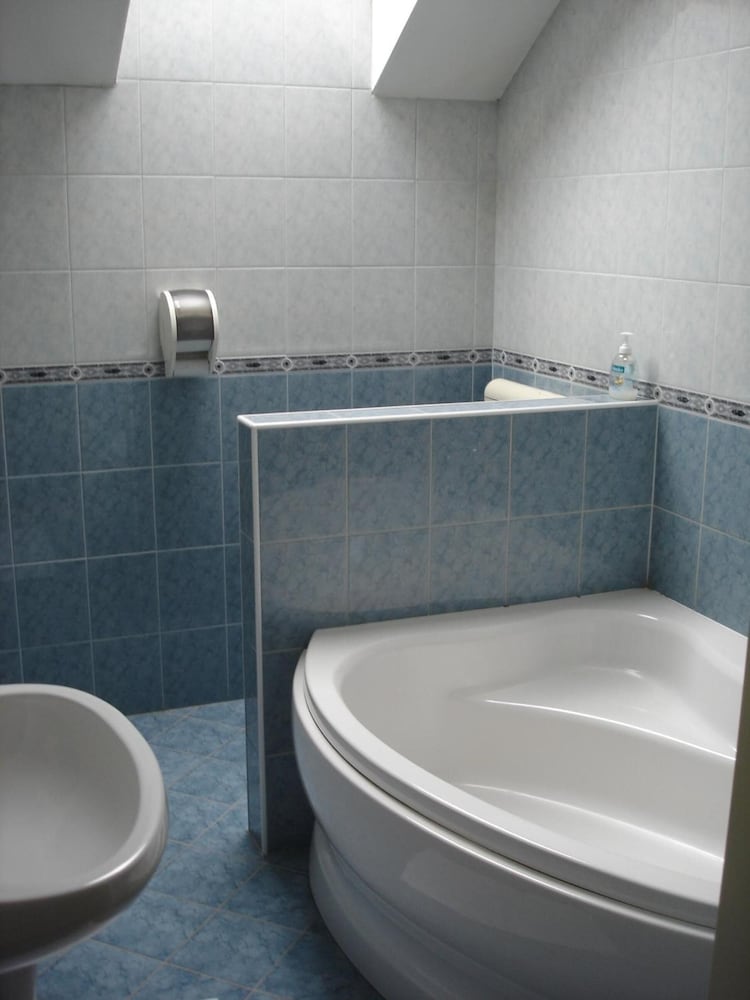 Фото Tisza Alfa Hotel