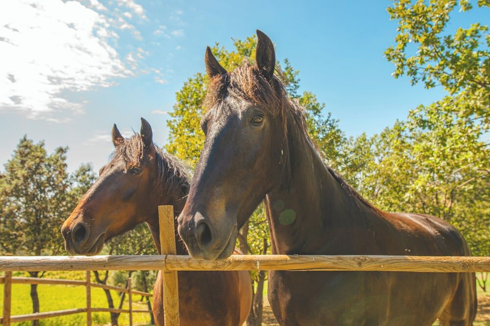 Фото Casale Poggio Nebbia
