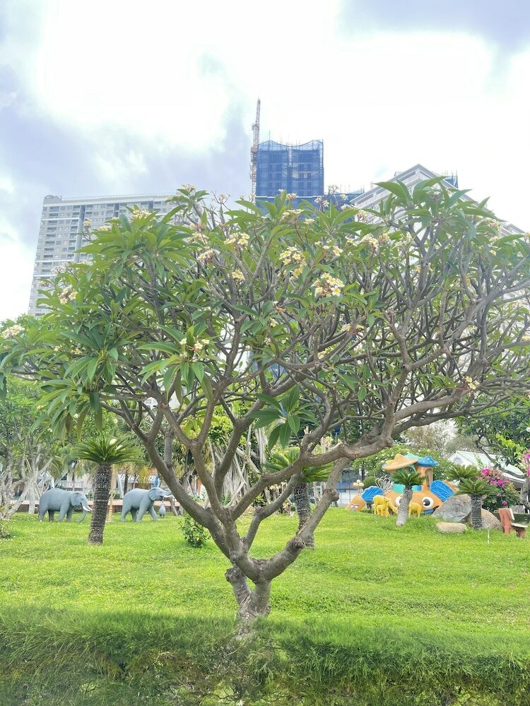 Фото Lotus Vung Tau Resort