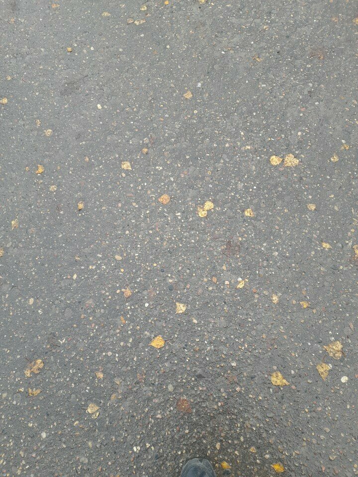 Playground Playground, Smolensk, photo