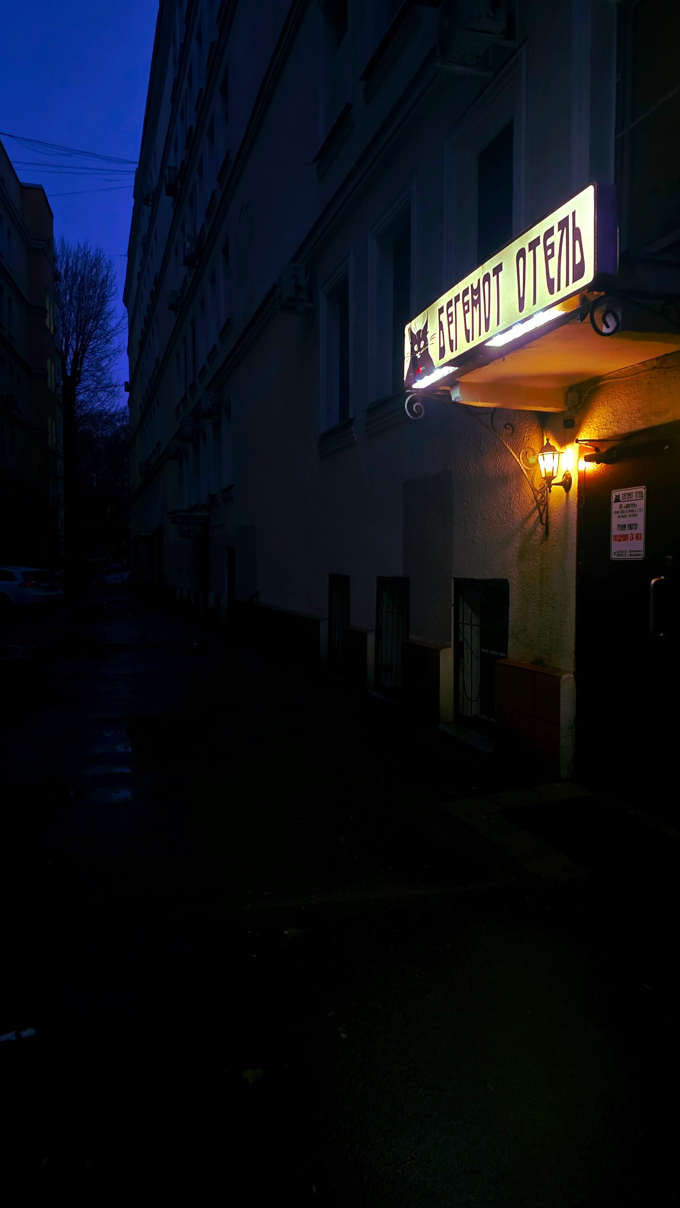 Фото Бегемот