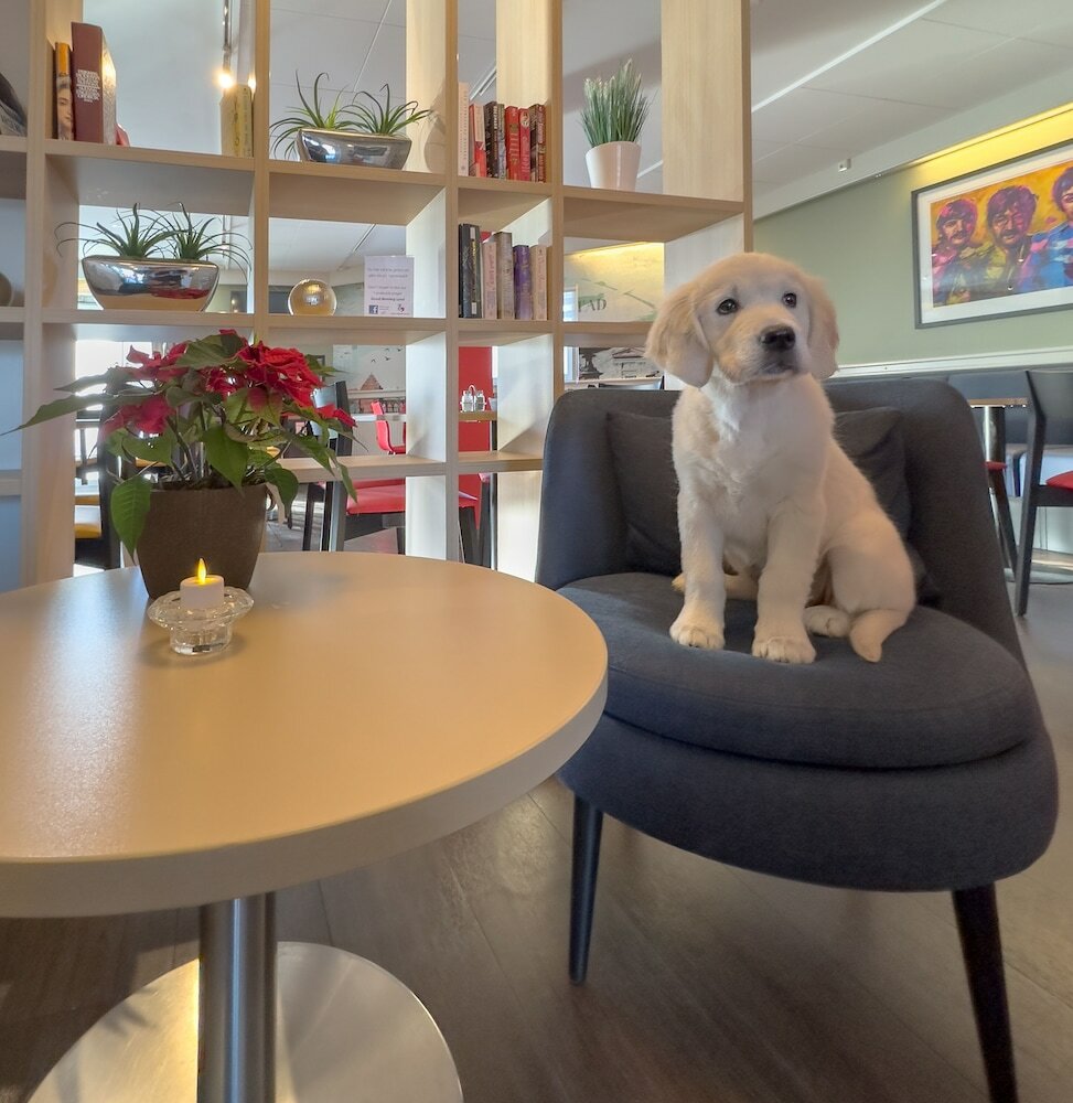 Фото Good Morning Lund