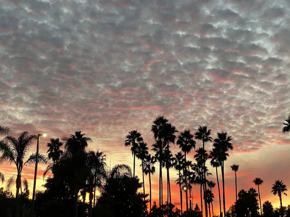 Фото Holiday Inn Express Hotel & Suites Carlsbad Beach, an Ihg Hotel