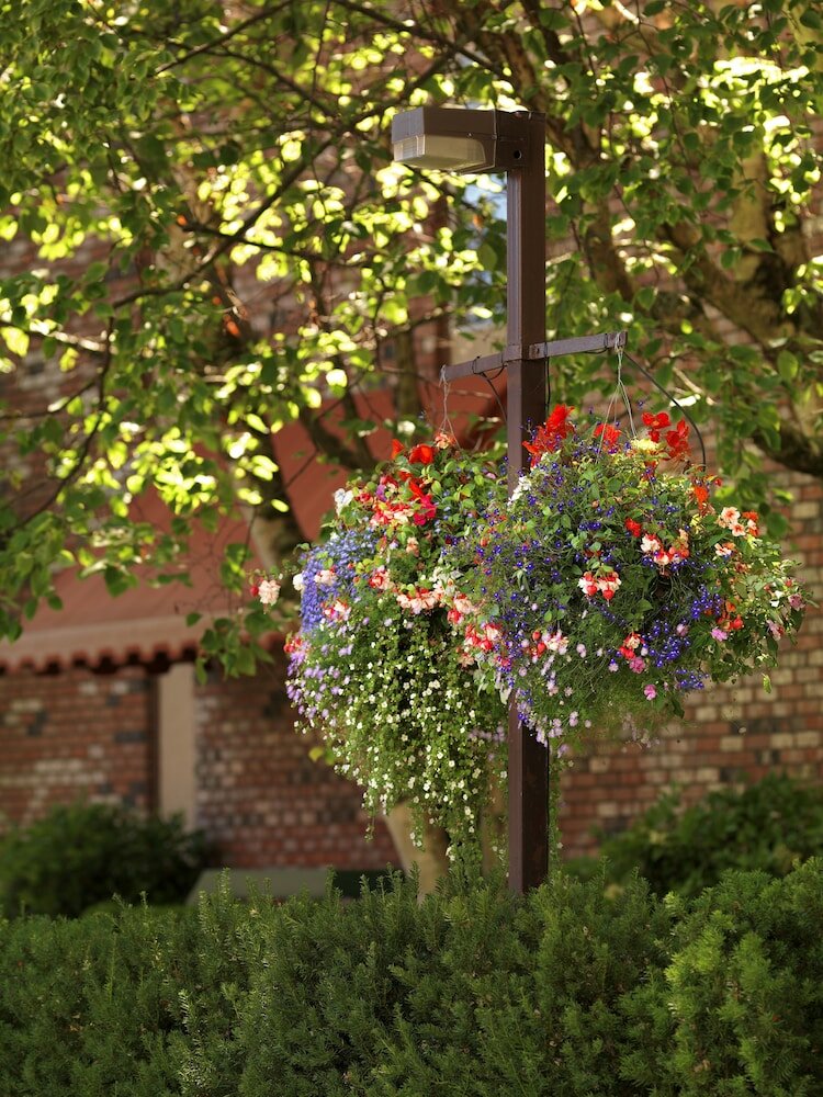 Фото Royal Scot Hotel & Suites