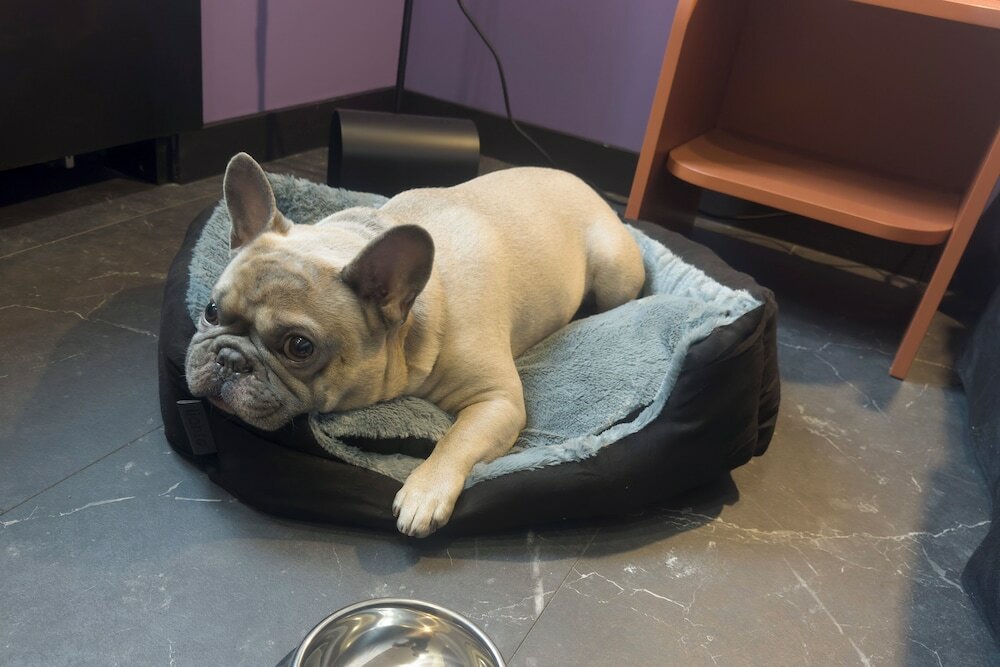 Фото Casual Eclettico Milano Hotel