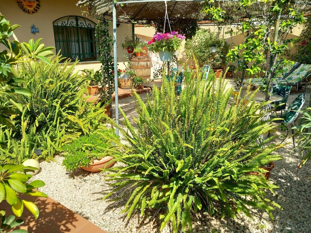 Фото B&b Rosangela