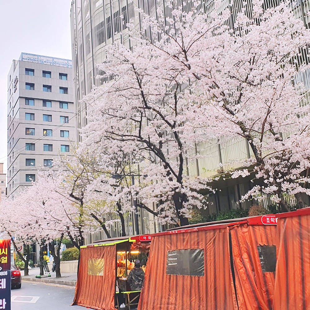 Фото Busan Business Hotel