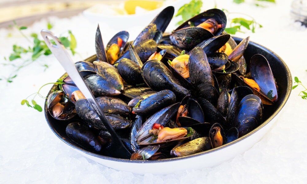 Фото Thon Hotel Ski