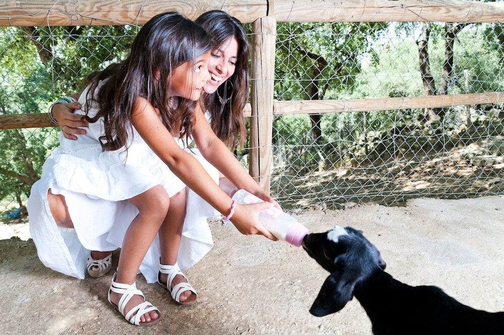 Фото Отель Fuerte Grazalema