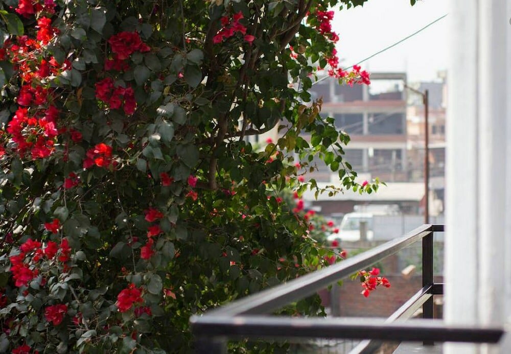 Фото Le Rhododendron Chambres D'hotes