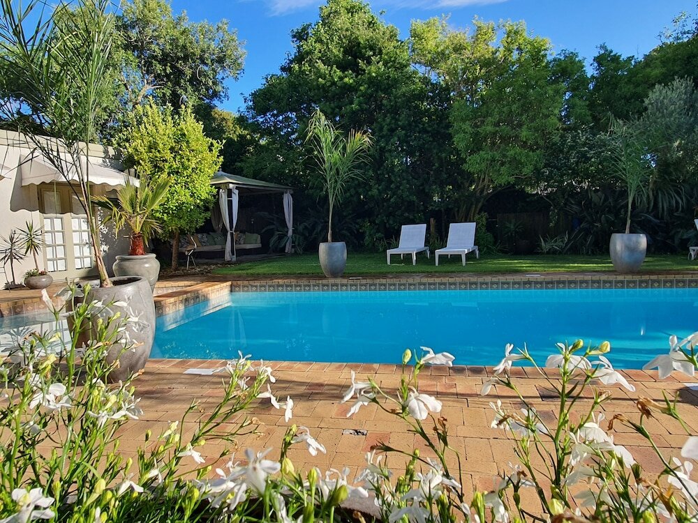 Фото Wild Olive Guest House