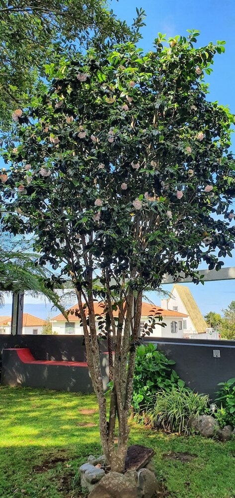 Фото Hotel O Colmo