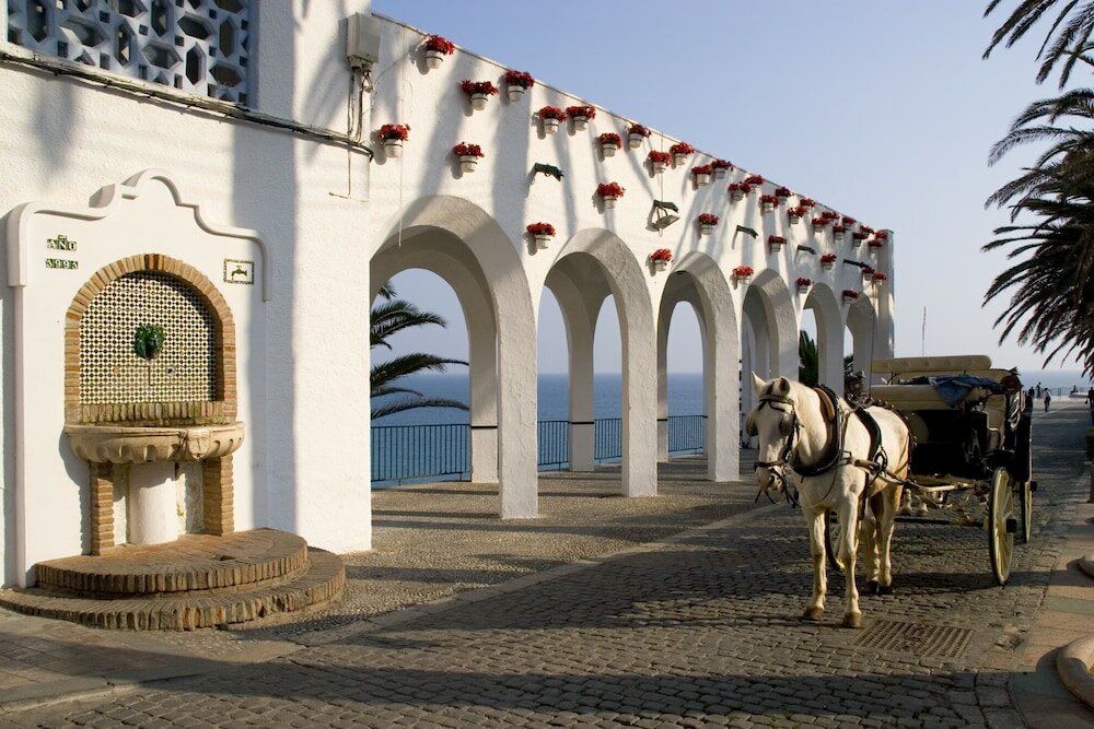 Фото Plaza Cavana