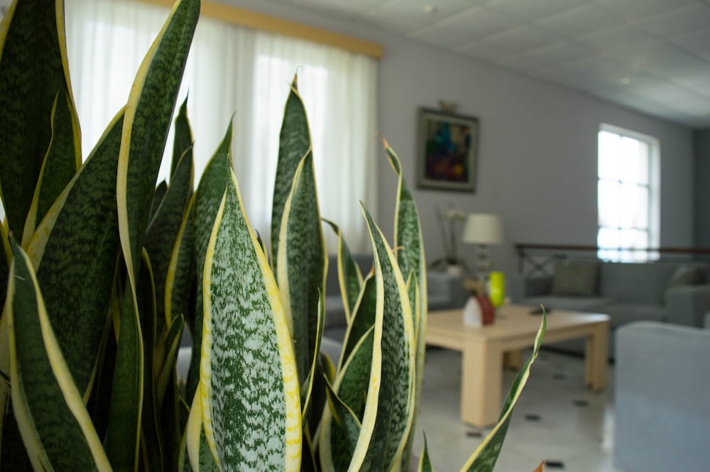 Фото Paradise Beach Hotel