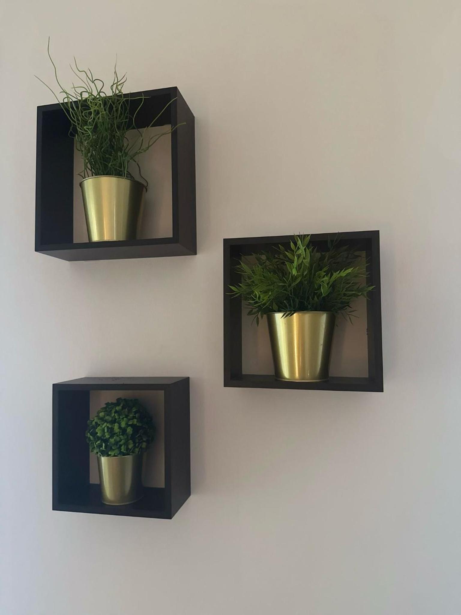 Фото Hotel Eureka