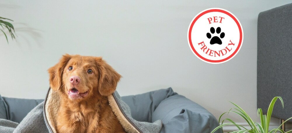 Фото Oyo Hotel Jefferson Tx Hwy 59