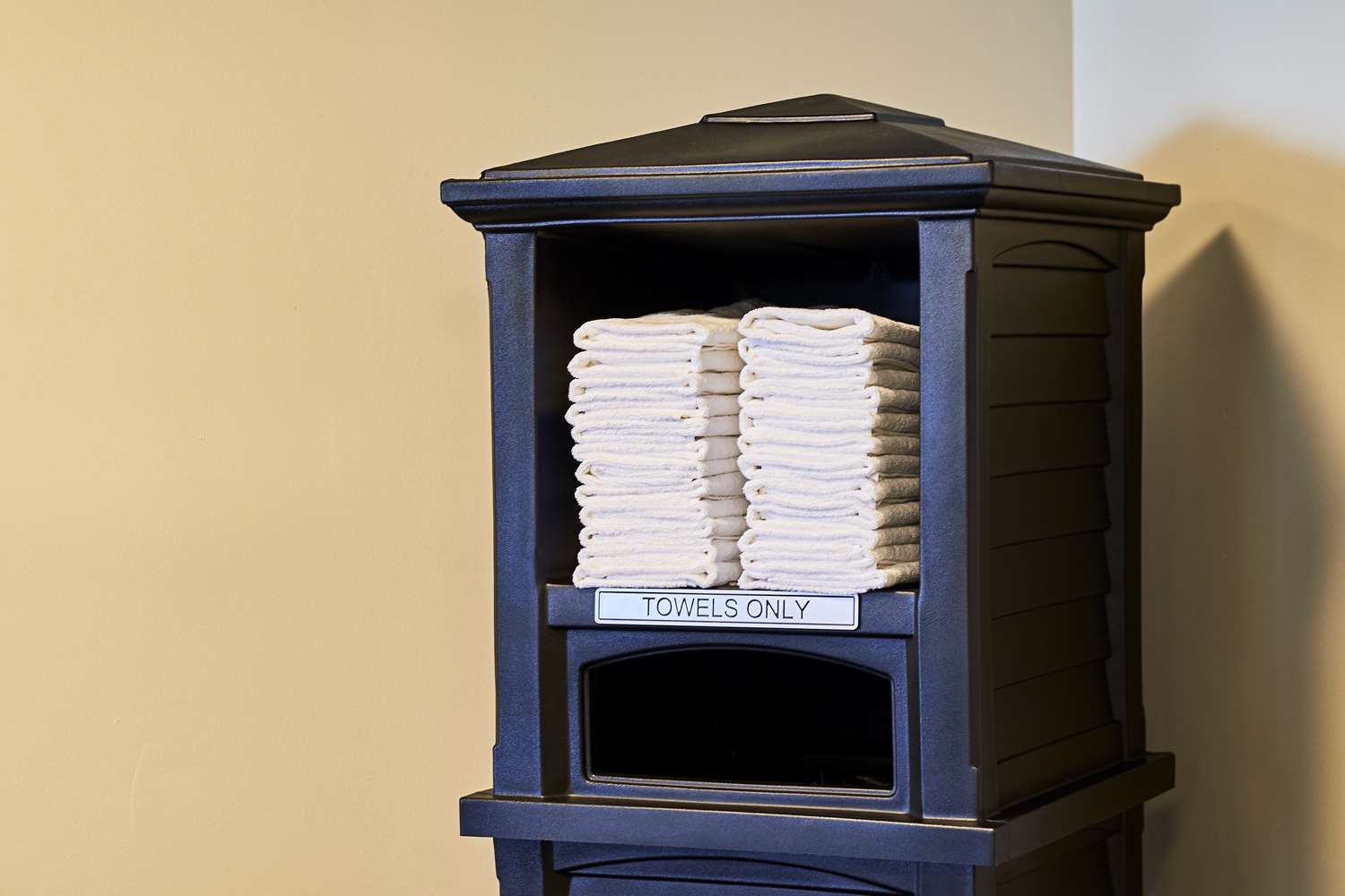 Фото Palm Tree Club Miami Hotel