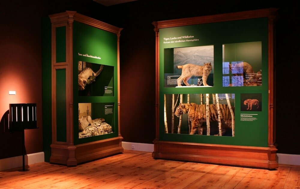 Фото 60466219908