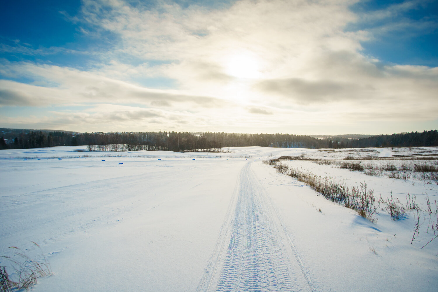 Фото Форест Хиллс