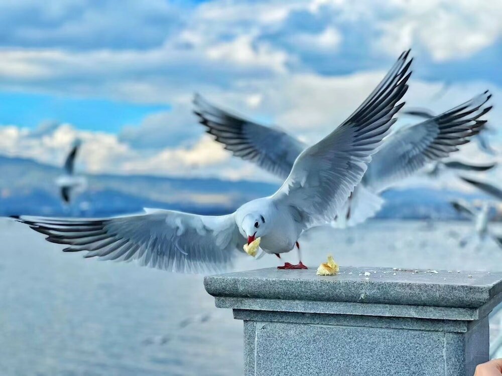 Фото Hilton Garden Inn Kunming Dianchi