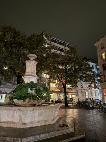 Внешний вид отеля Hotel Edelweiss в Женеве, фото 3