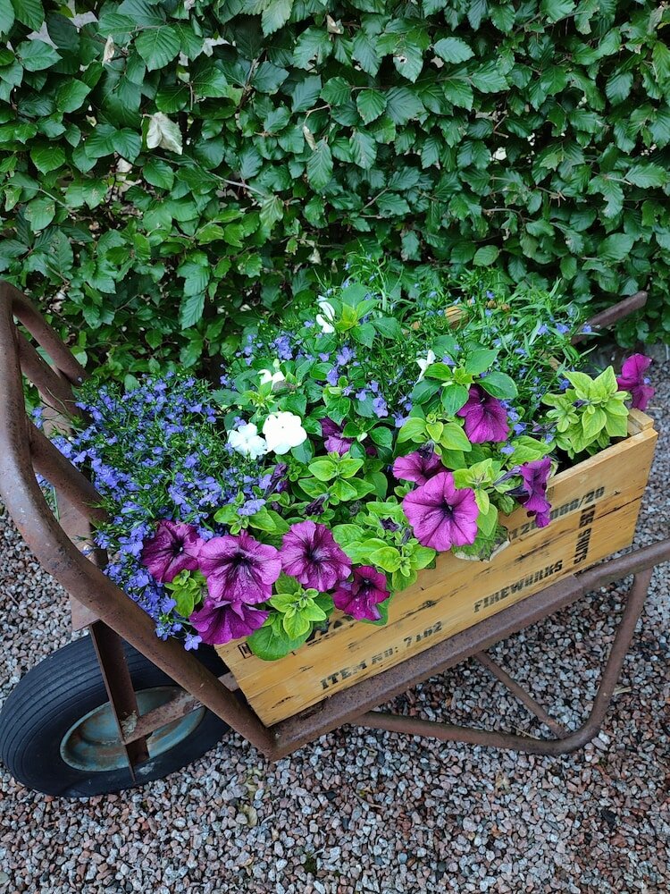 Фото Hotel Groote Engel