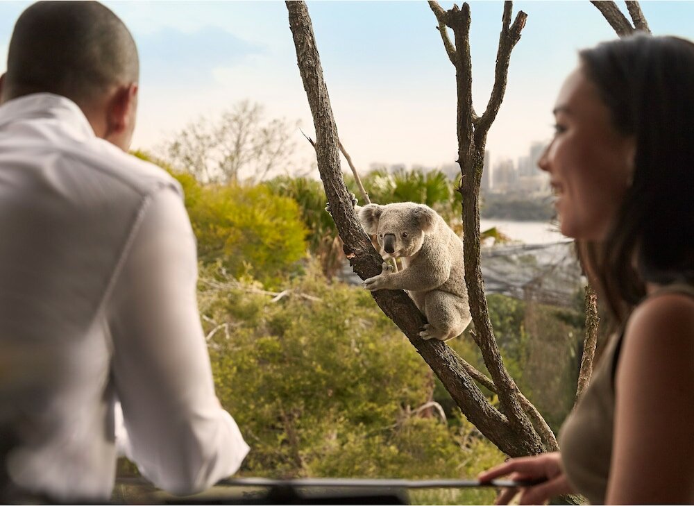 Фото Wildlife Retreat at Taronga