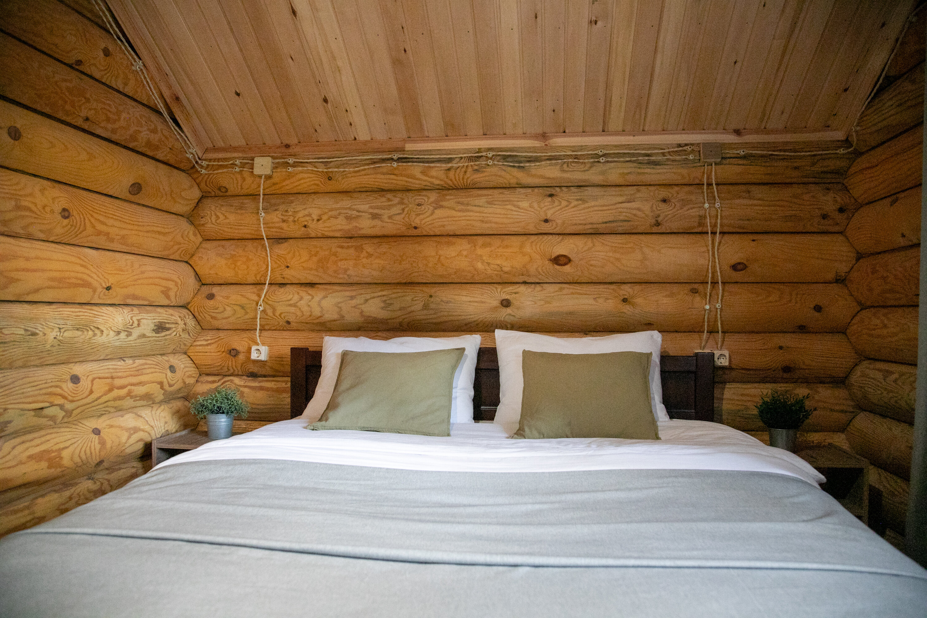 Фото Завидово