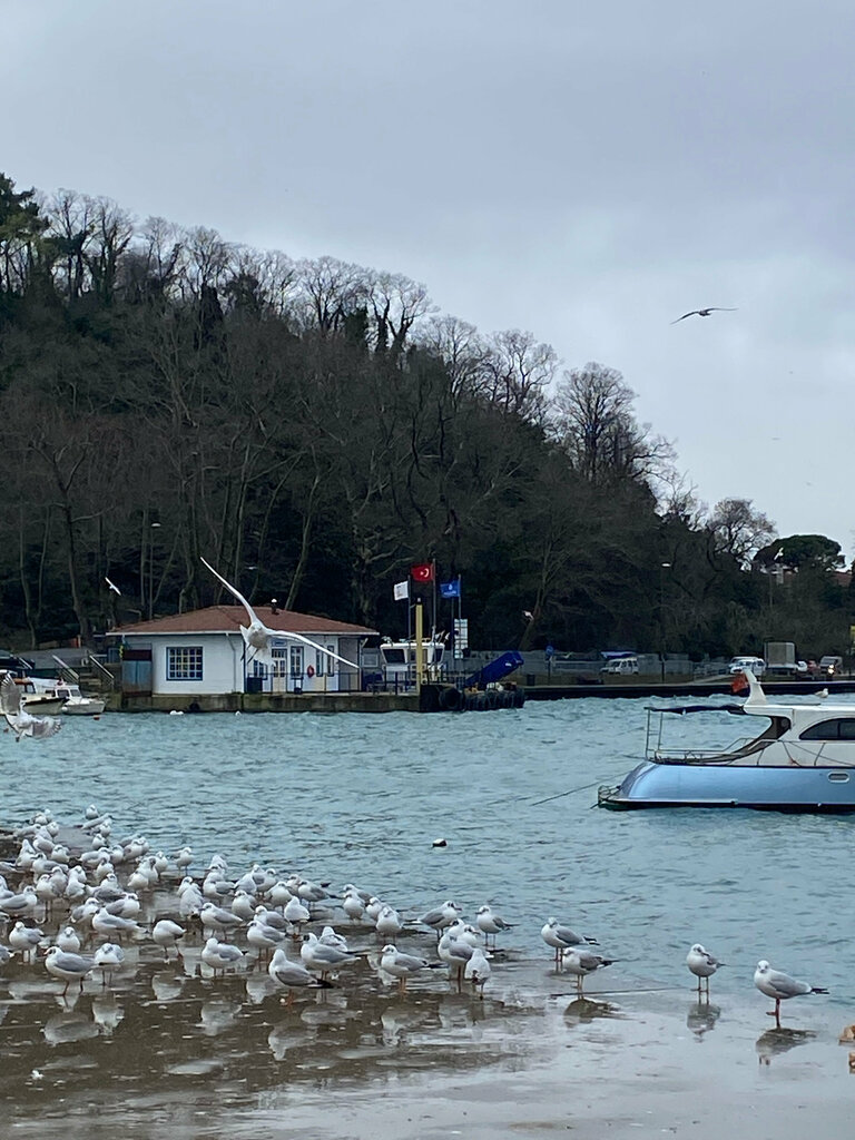 Cafe Сubuklu Arabalı Ferry Pier Ferry, Istanbul, photo