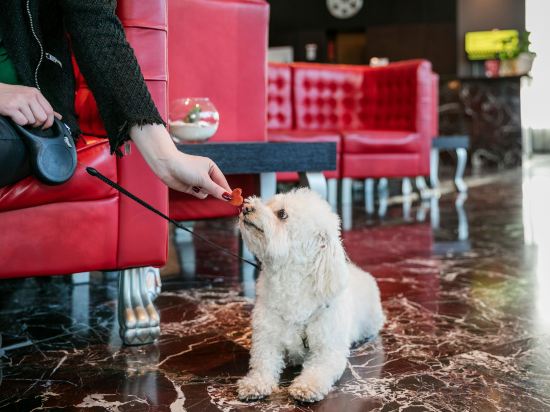 Фото Arcotel Kaiserwasser Vienna