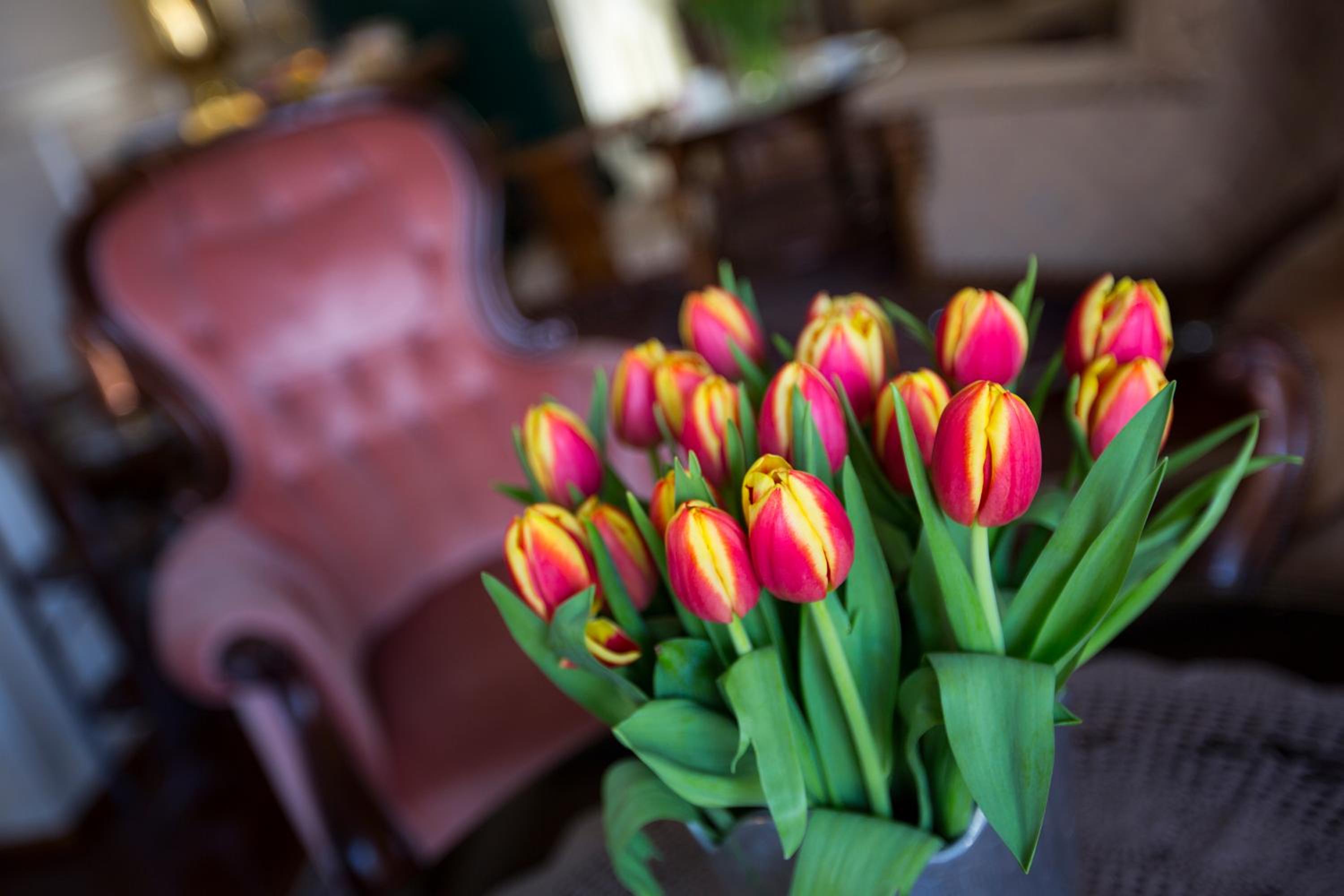 Фото Amsterdam Wiechmann Hotel