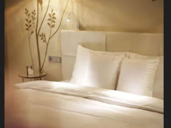 Фото Sans Souci Wien