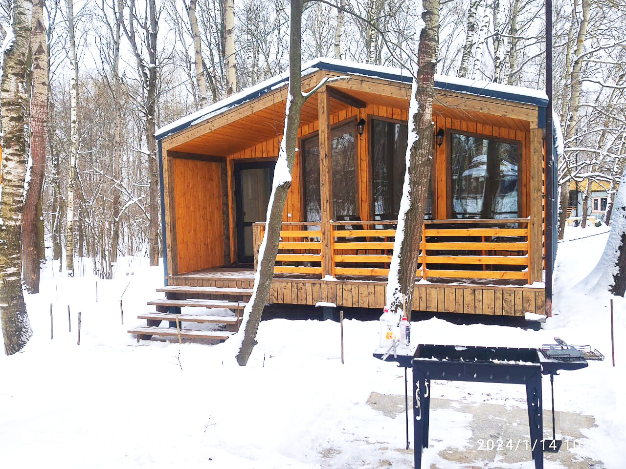 Фото Ореховая роща