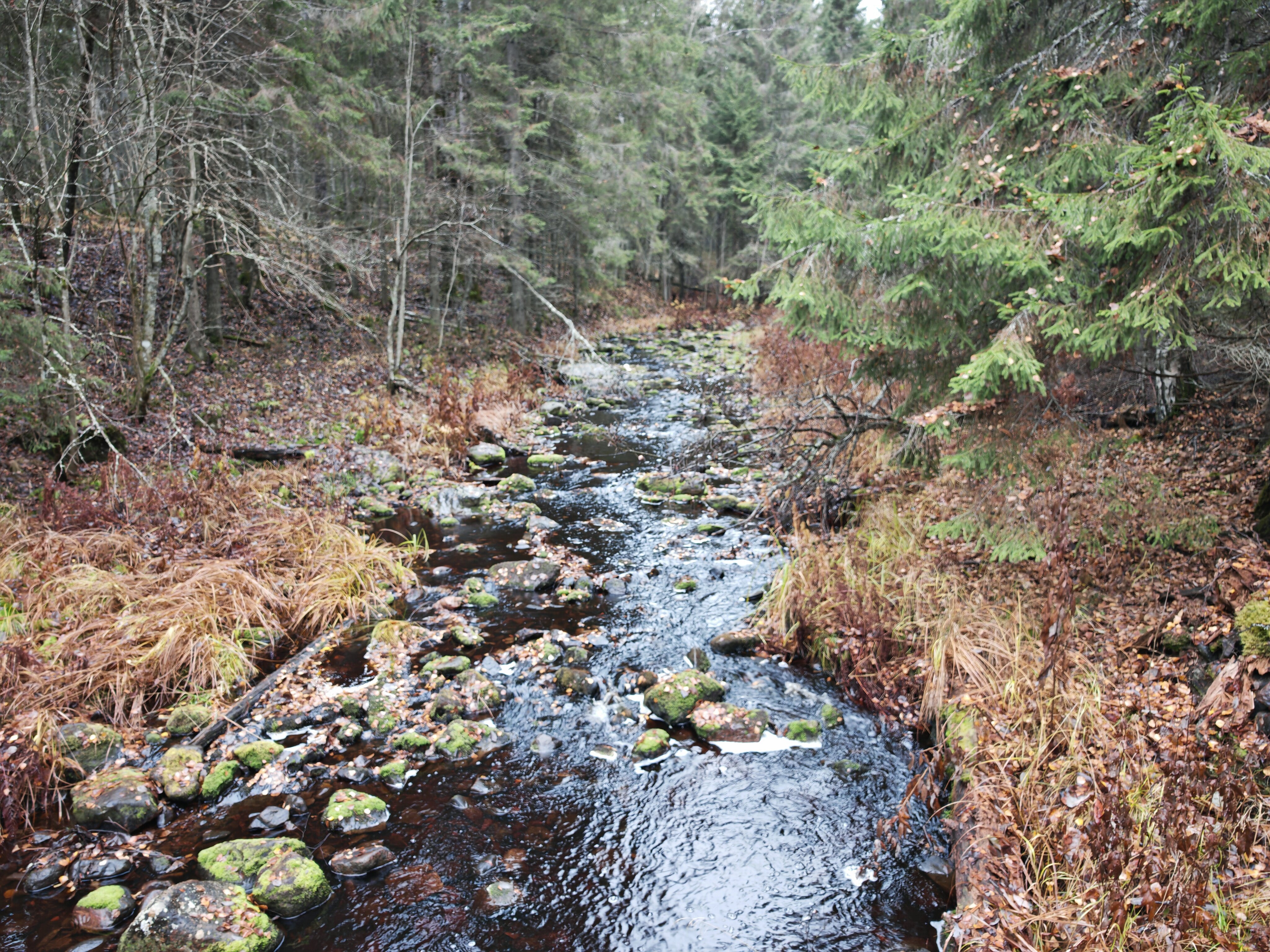 Фото Домик-Баня у речки Карелия