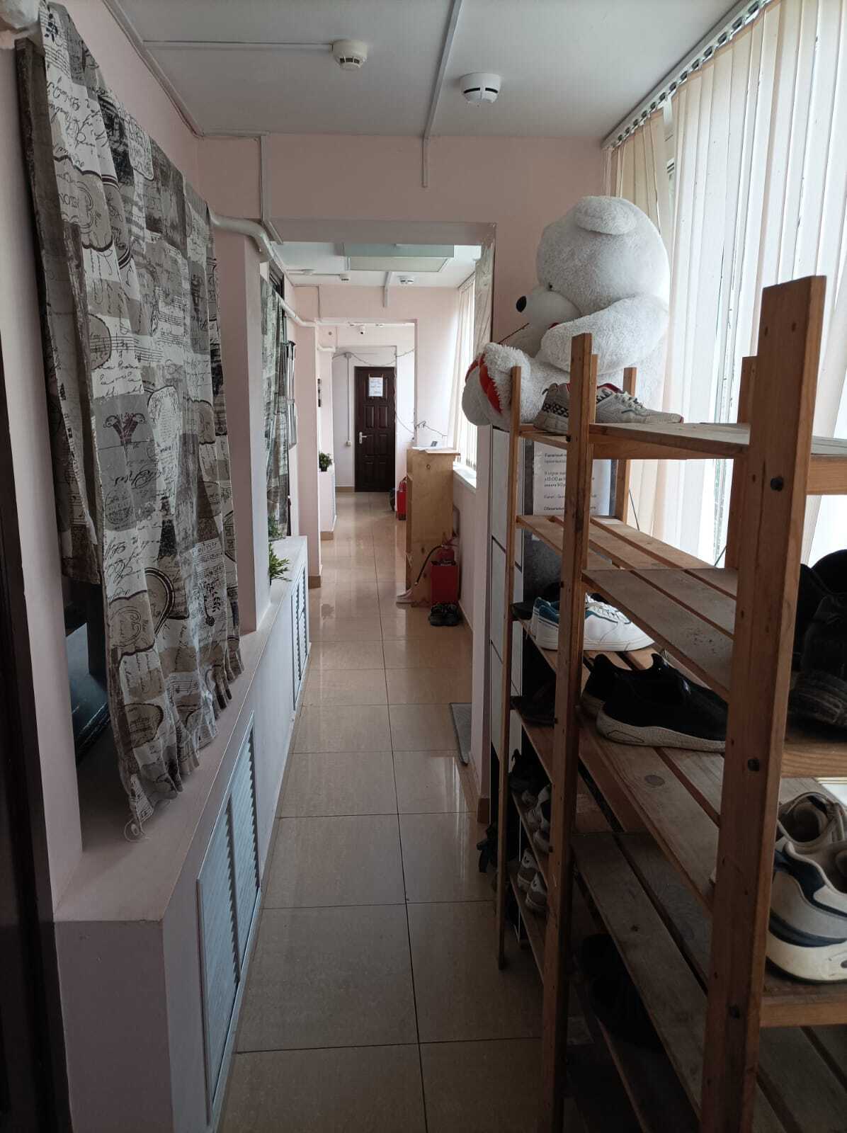 Фото Клевер