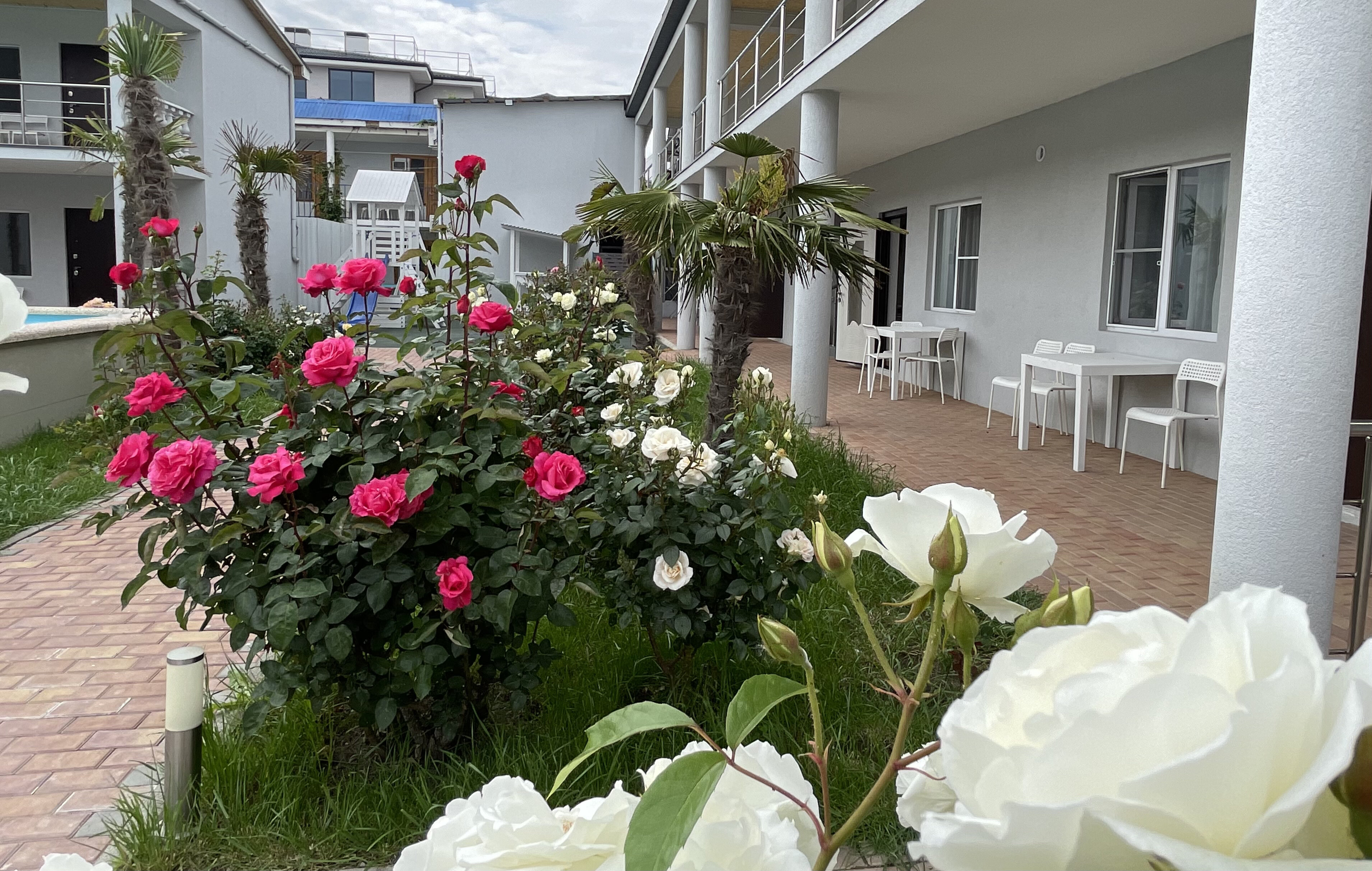 Фото Здоровье