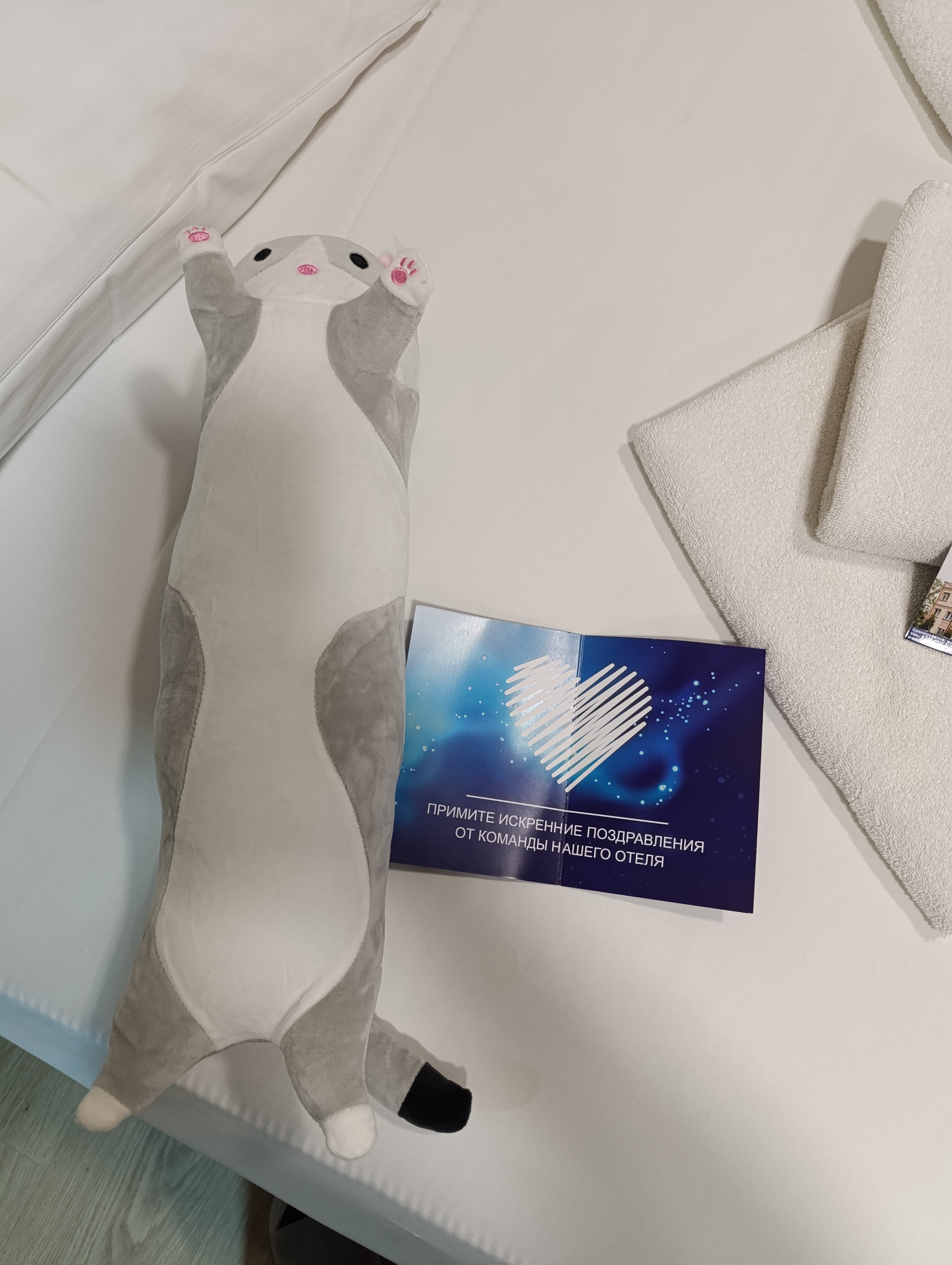 Фото Элиза Бонапарт