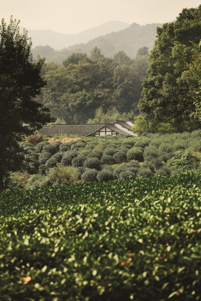 Фото Four Seasons Hotel Hangzhou at West Lake