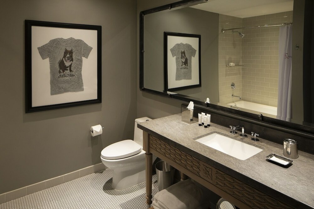 Фото Hotel ZaZa Austin