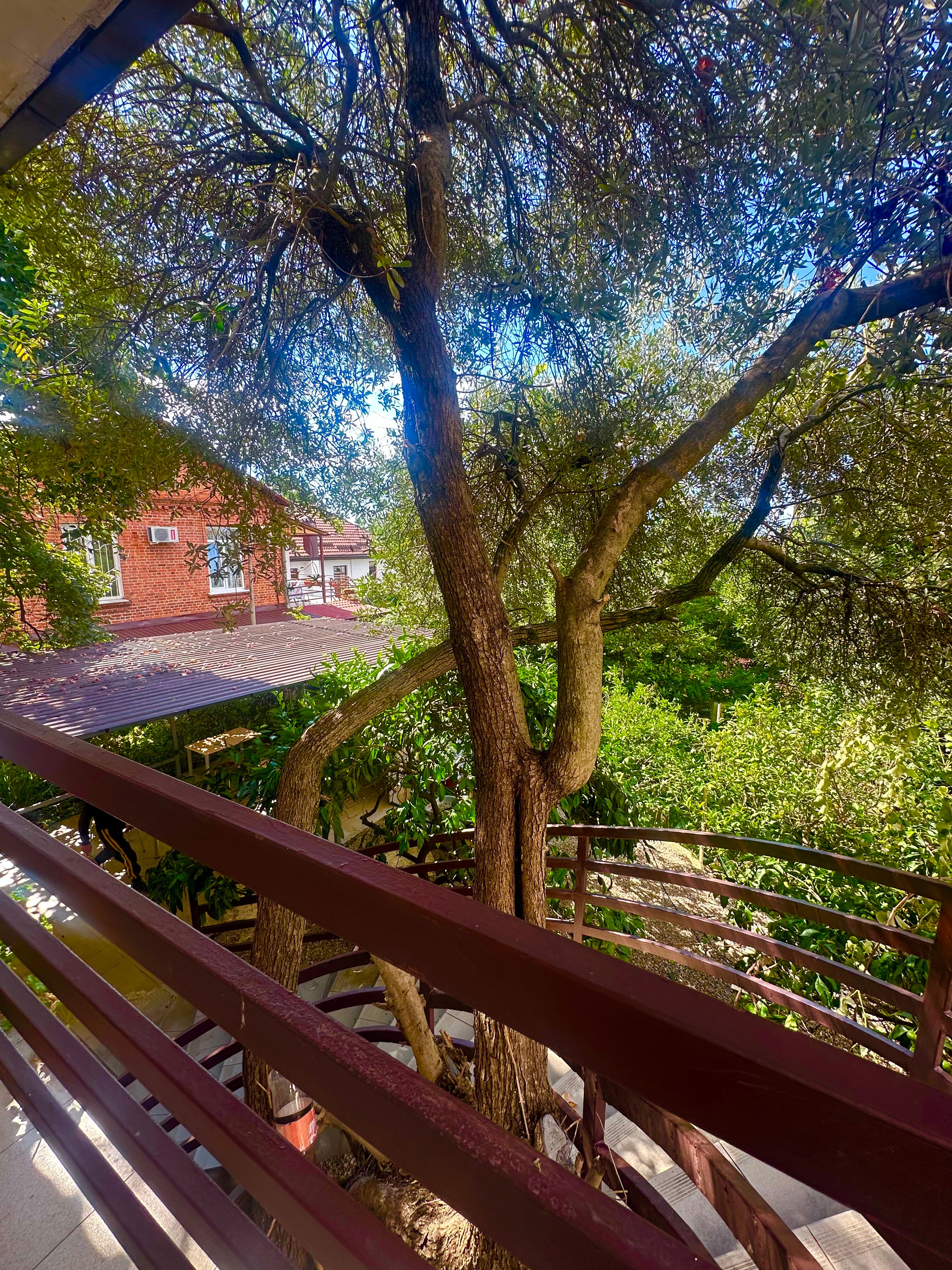 Фото Морские истории 3