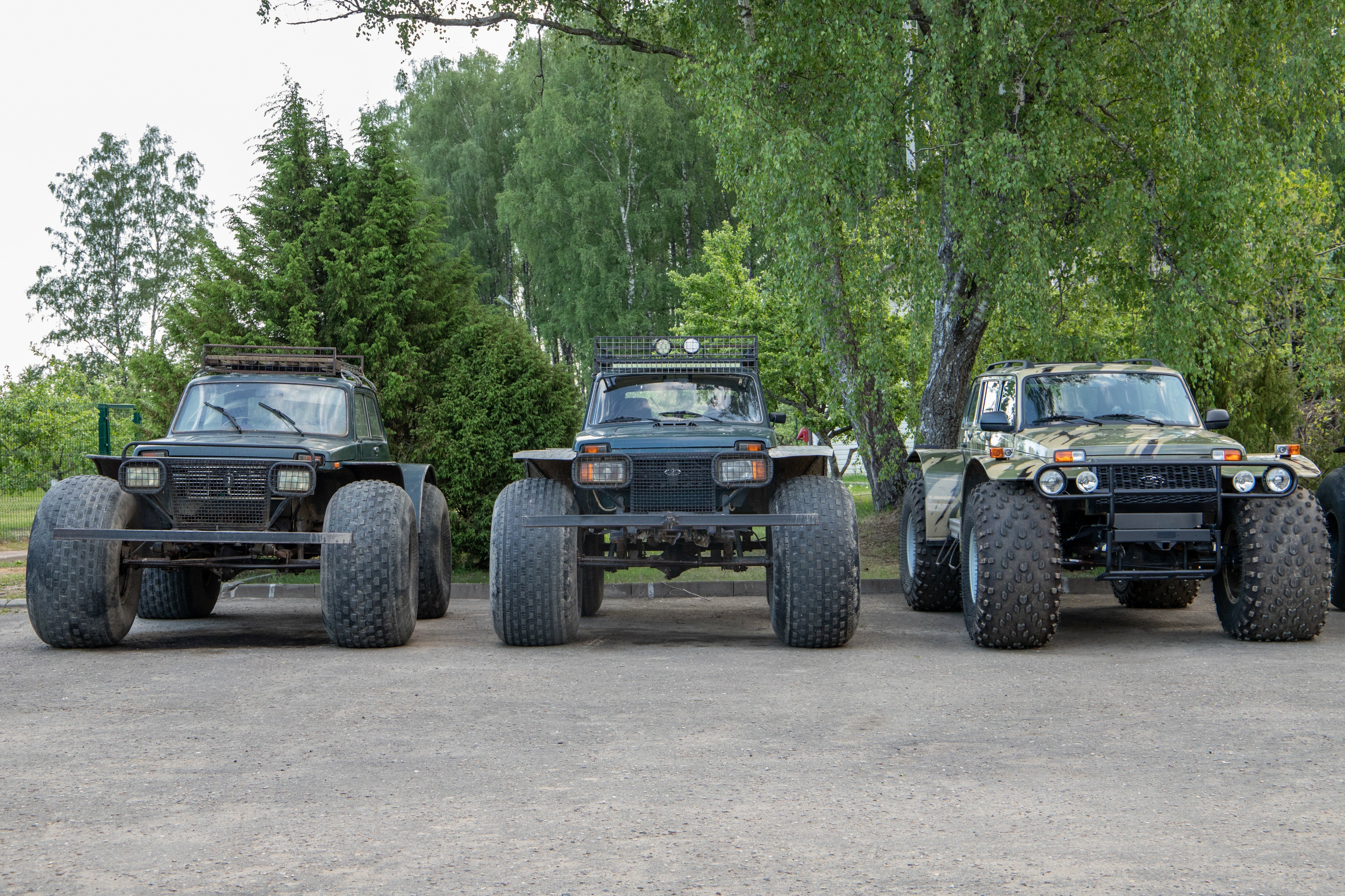 Фото Кречет