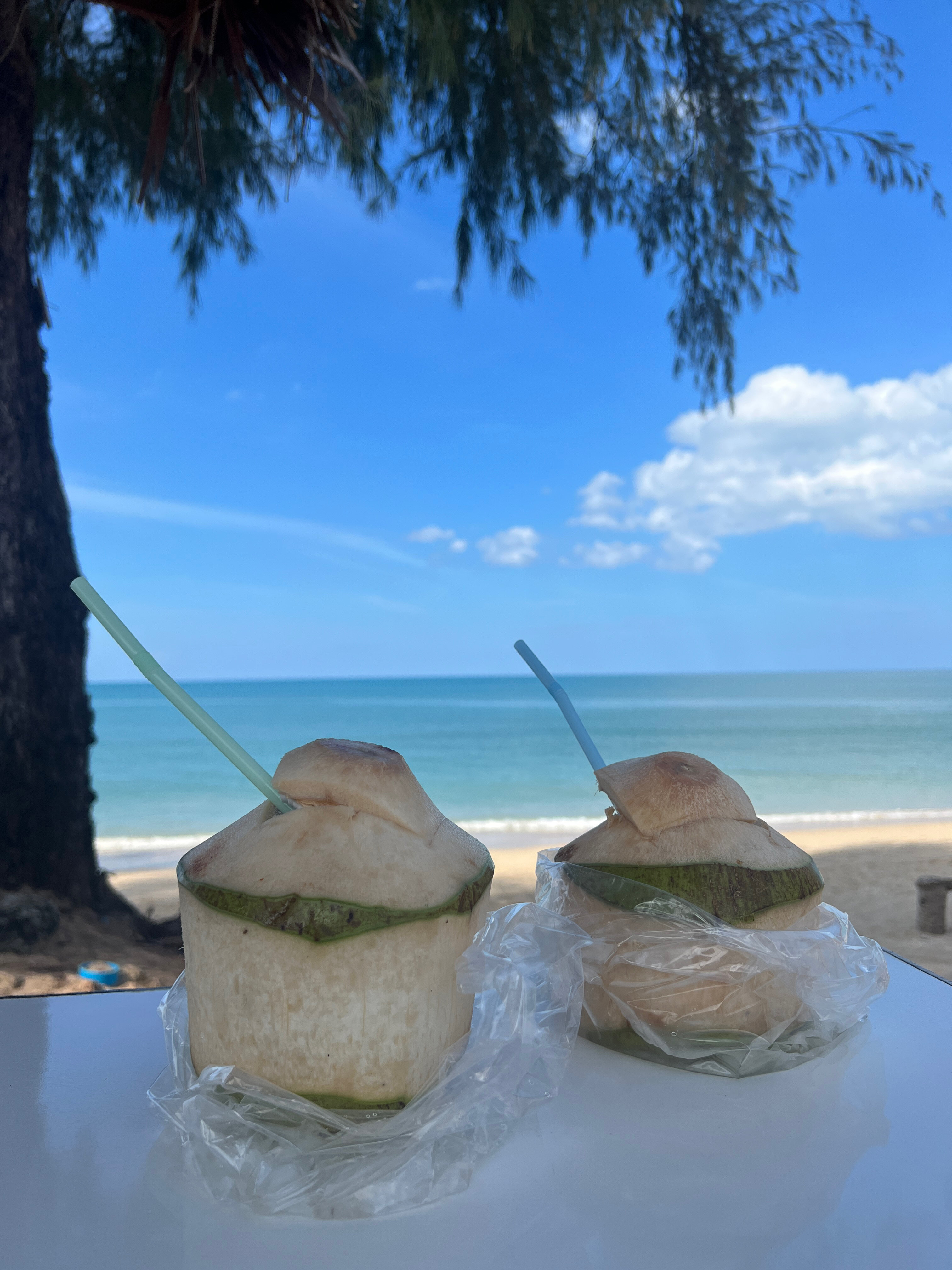 Фото Khao Lak Marriott Beach Resort & SPA