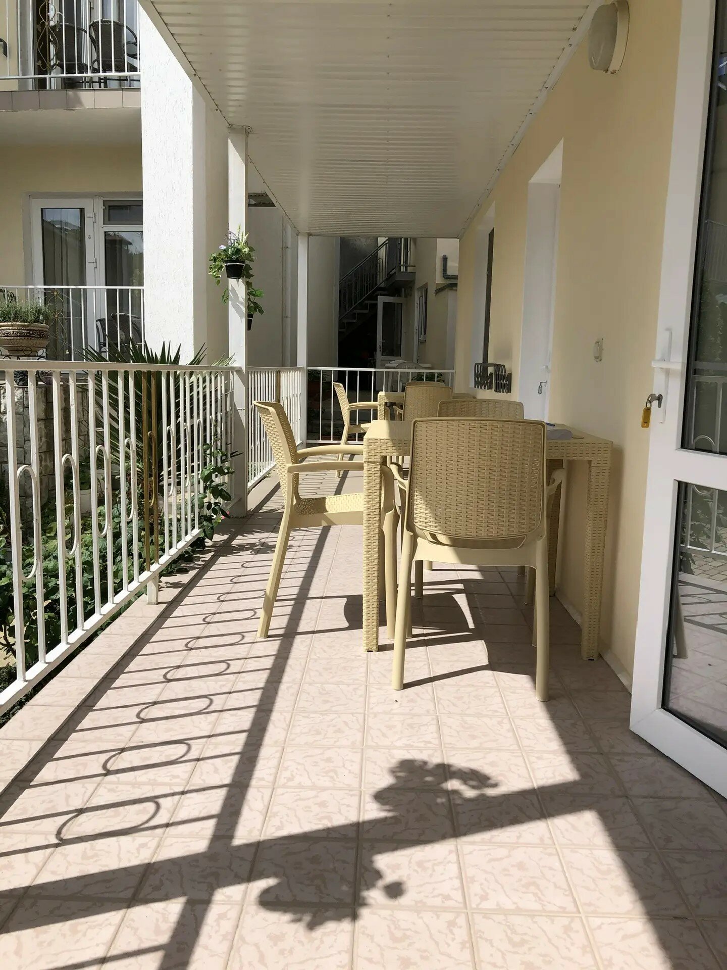 Фото Фламинго